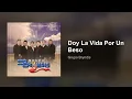 Grupo Bryndis - Doy La Vida Por Un Beso (Audio)
