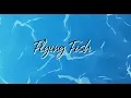 Download Lagu 【Lyric Video】Flying Fish (English Version) / FANTASTICS from EXILE TRIBE
