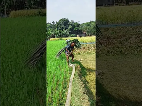 হায়রে শালার বুদ্ধি দেখুন 😜😜