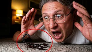 🔴 PANICĂ 🦂 Un SCORPION în CAMERA de CAZARE 🏨 Cât pe ce să-l MUȘTE pe TATI 😱