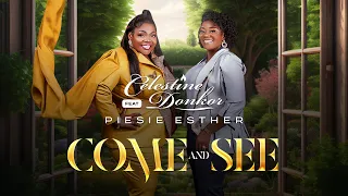 celestine donkor come and see ft piesie esther