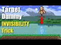 Terraria Target Dummy INVISIBILITY Trick