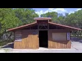 "Just Outside Of Austin" with Lukas, Willie & Micah Nelson