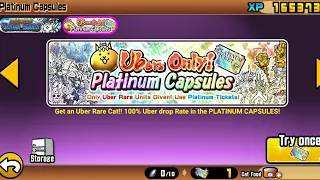 The Battle Cats - Platinum Ticket