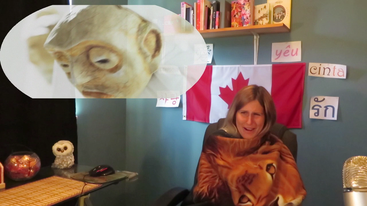 Tulus-Manusia Kuat MV Reaction