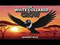Lagu THE WHITE COLLARED CROW ( ESWATINI 🇸🇿 STORY) Folktale from Former Kingdom of Swaziland @eswatini_tv 