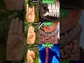 Download Lagu Best Mudras #mudra #toothache #acidity #backpain #ytshorts #ytviral #yogainsipiration