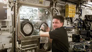 Scientific research on the ISS Wikipedia article