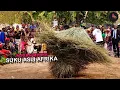 Download Lagu Kumpo, Tarian Mistis Boneka Jerami Suku Asli Afrika Barat