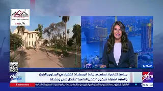 أول رد من محافظ القاهرة على قطع الأشجار: بنطمن الناس.. والشجر العتيق بنحافظ عليه