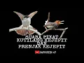 Download Lagu SUARA PIKAT BURCIL KOMBINASI ||KUTILANG DAN PRENJAK KEJEPIT