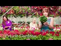 Prairie Gardens Garden Center is in Full Bloom