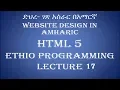 Lecture 17 website html form action attribute and submit button Programming in Amharic