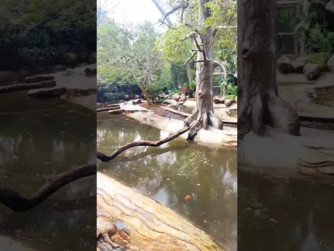 mumbai#zoo