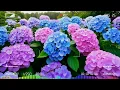 Michael Bolton Greatest Hits Full Album ~ Best Songs Of Michael Bolton - Soft Rock #MichaelBolton