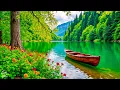 Download Lagu Herstel je zenuwstelsel 🌿Ontspannende muziek en natuurgeluiden voor een diepe slaap