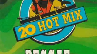 Download 20 Hot Mix Reggae 1994 MP3