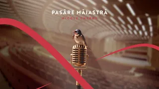 Descarcă Nicole Cherry - Pasare maiastra MP3 gratuit - Muzica123