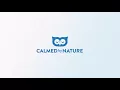 Relaxing Meadow and Mountain with Ambient Nature Sounds for Calming and Focus