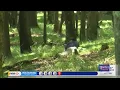 Somerset County outdoor active shooter training