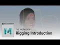 The Workshop Rigging Introduction