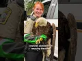 4 bald eagles rescued in Stafford County NBC4 Washington