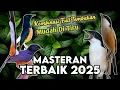 Lagu MASTERAN KASAR TERBAIK 2025 MUDAH DITIRU, MASTERAN MURAI DAN CENDET DURASI PANJANG