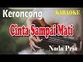 Lagu CINTA SAMPAI MATI KERONCONG ll KARAOKE KERONCONG ll RAFFA AFFAR ll KANGEN BAND ll NADA PRIA D=DO