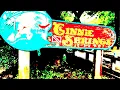 Ginnie Springs Shenanigans