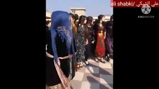 دبكات عراقيه جوبي بنات على اغنيه ما شفت للمرهدن يا شوفير القماره 