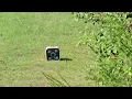 Centerpoint Patriot 425 72 yards