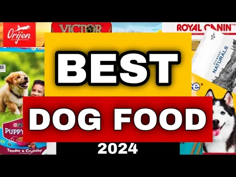 Download MP3 Best Dog Food Review