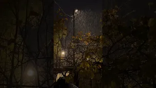 سالفة فكدك جبيرة ياحسين مسلم الوائلي الامام علي ستوريات 