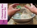 How to Clean Willow Go