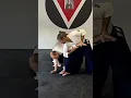 Download Lagu Aikido Martial Fusion Zenbu Dojo Sarasota Henkawaza