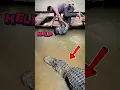 NEKAD NOLONG BOKAP WALAU BUAYA ALLIGATOR MENDEKAT #amazing #scary #trending