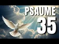 Psaume 35 - Priere de delivrance des ennemis