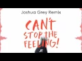 Justin Timberlake - Can´t Stop The Feeling (Joshua Grey Remix)