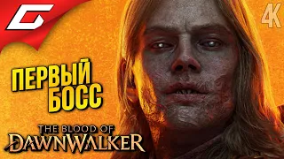 КРАСАВЧИК АМБРУС ➤ The Blood of Dawnwalker ◉ Прохождение 5