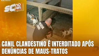 Polícia e fiscalização interditam canil clandestino em Navegantes