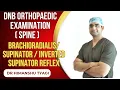 Inverted Supinator Reflex practical Orthopaedics examination