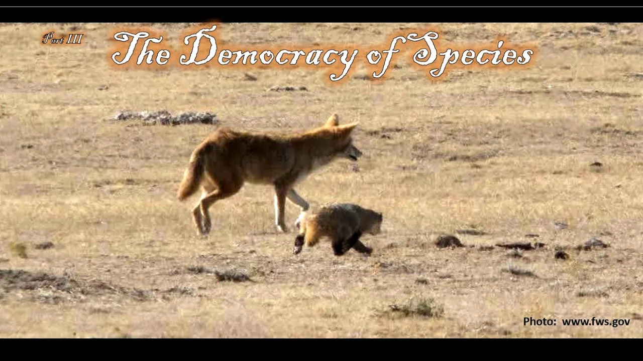 "The Democracy of Species" (Havin' Nunavut: Part 3)
