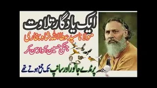 syed attaullah shah bukhari khutba juma