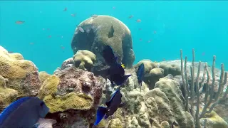 نشيد حلم التخرج عبدالله المهداوي اناشيد اسلاميه 