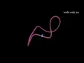 Lagu Restriction Enzyme EcoR1 (2000) Drew Berry wehi.tv