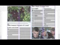 InDesign XML Workflow