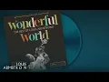 Louis Armstrong - On The Sunny Side Of The Street (Audio)