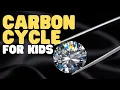 Carbon Cycle for Kids Learn all about why carbon is vital to life on Earth