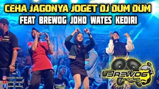 Download Ceha Jagonya Joget DJ Dum Dum Feat Brewog Audio || Joho Wates Kediri 2020 MP3