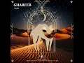 Ghareeb (Radio Edit)